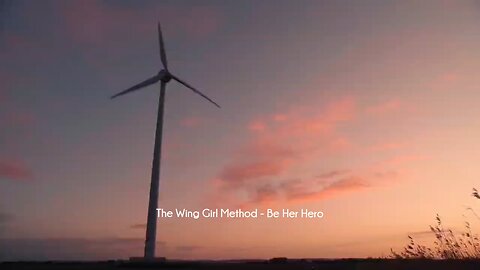 The Wing Girl Method - Be Her Hero course download