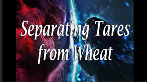 The Separation of The Tares|The Parable Of The Wheat And The Tares