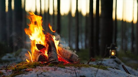 Silent Forest Campfire 🔥