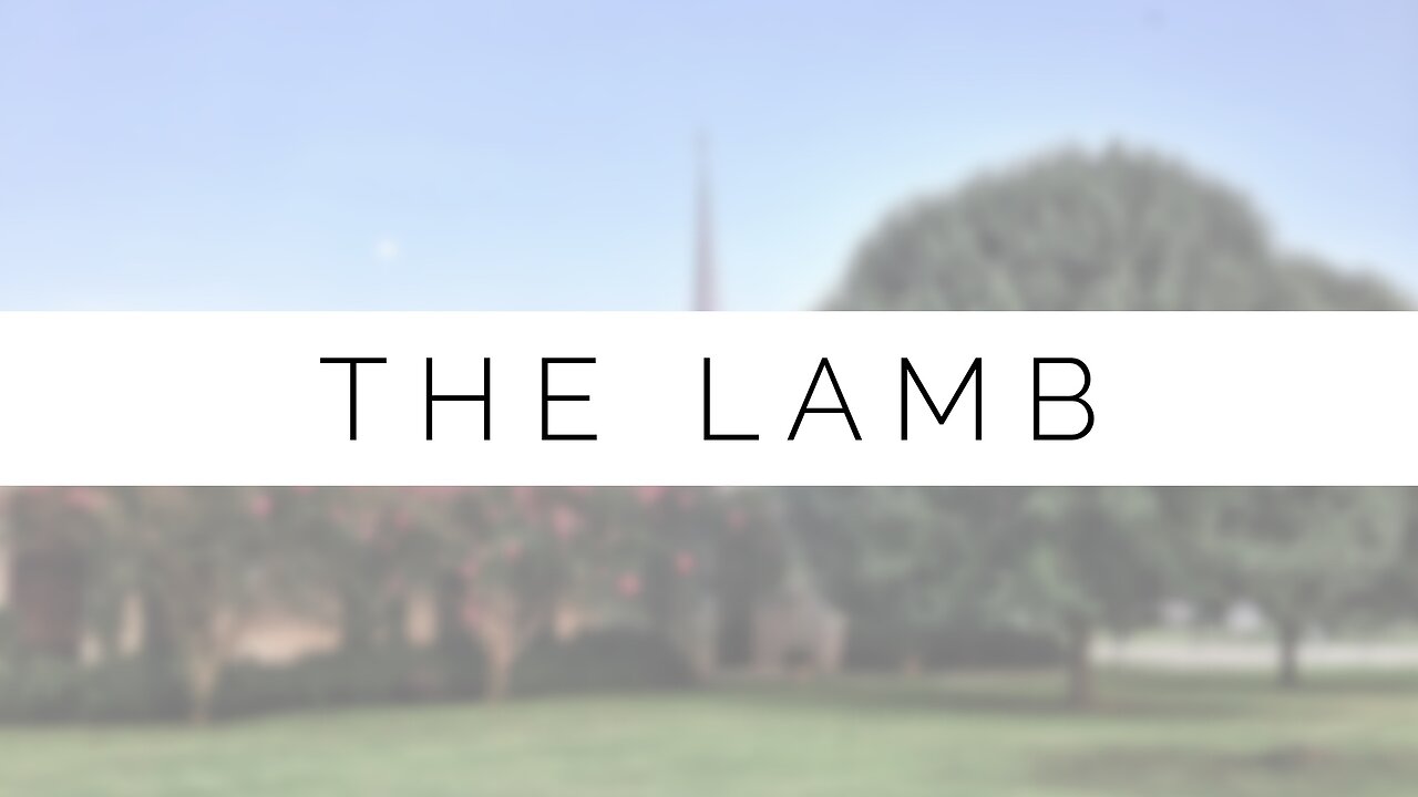 Midweek Lesson - The Lamb