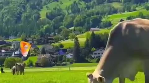 Summer vs. Winter in Switzerland – Which Season is Better?