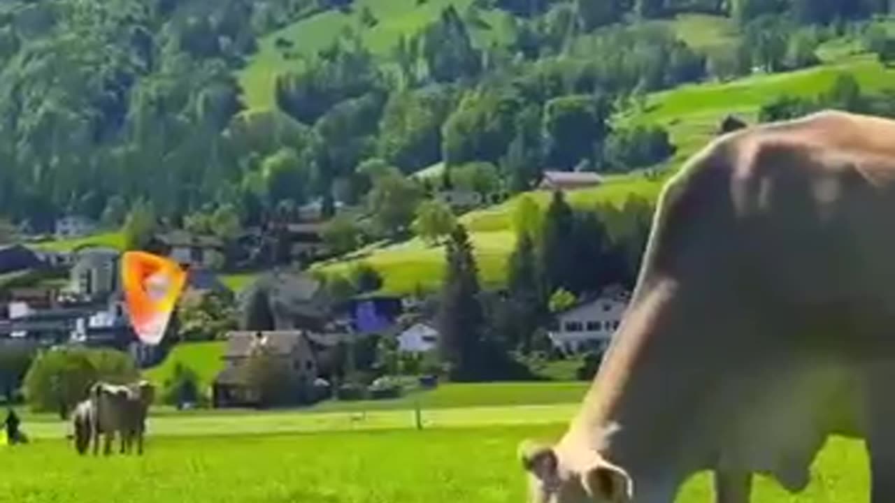 Summer vs. Winter in Switzerland – Which Season is Better?