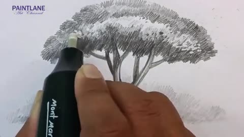 How to draw Tree in Nature Landscape Art || Pencil Art