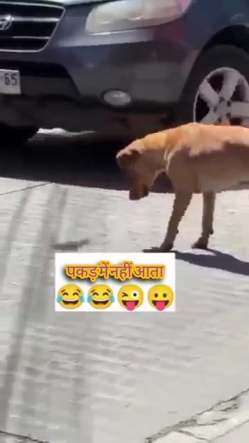 tu hai to mai hu 🥰🥰