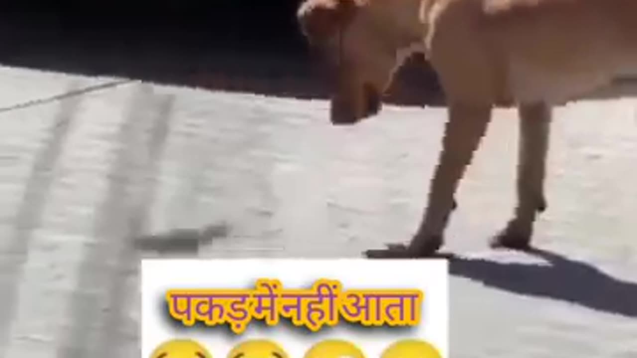 tu hai to mai hu 🥰🥰