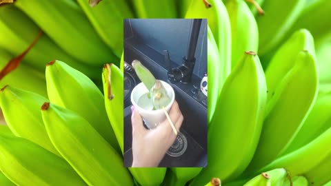 Playful Adventures with Sophie&Leon - Let´s plant some baby bananas