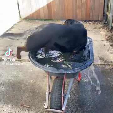 Hang in there & keep trying!