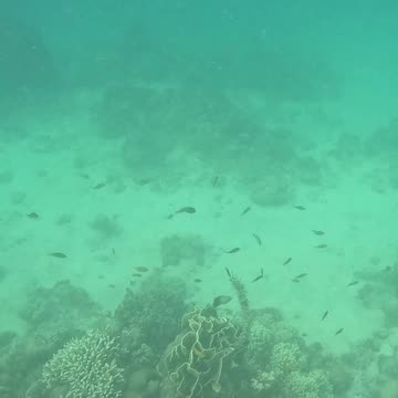 Snorkeling Morning!!