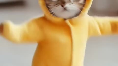 Dansing cat