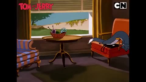 Funniest tom and Jerry clips