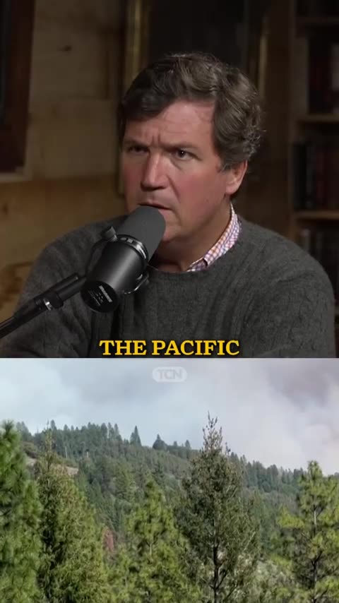Tucker Carlson - California Fires Breakdown (They Lied) CLIP