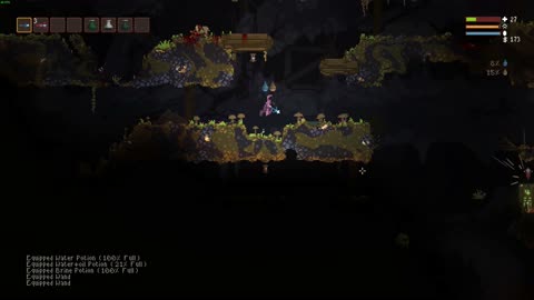this noita run was crazy!