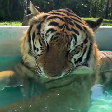 Disappointed with Santa once again