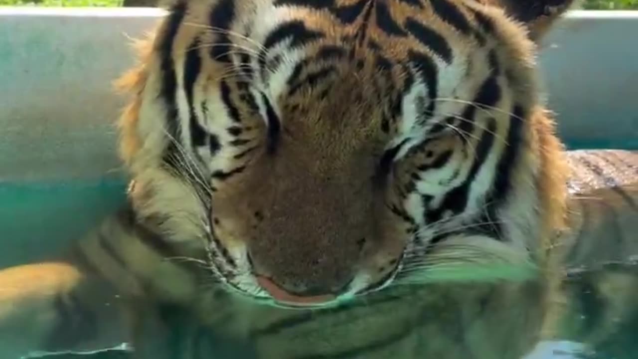 Disappointed with Santa once again