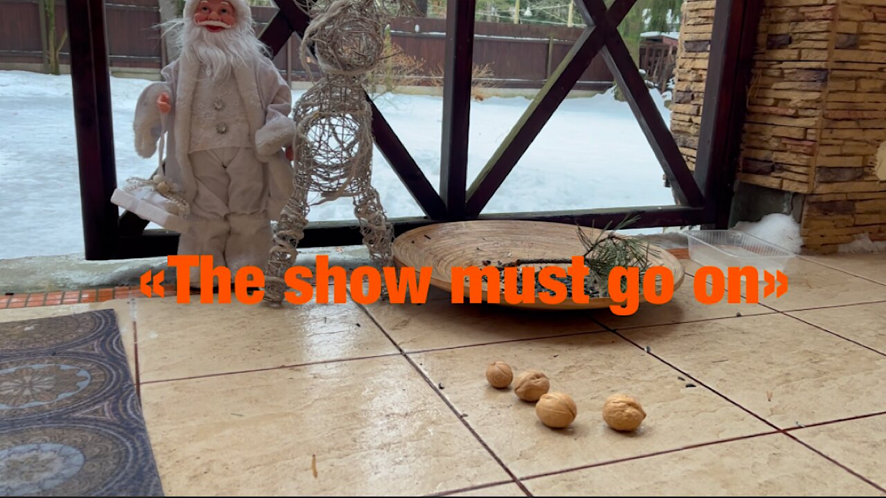 «The show must go on»