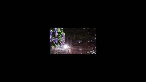 Soothing Rain Sounds | Relaxing Nature Ambience for Sleep, Study & Relaxation
