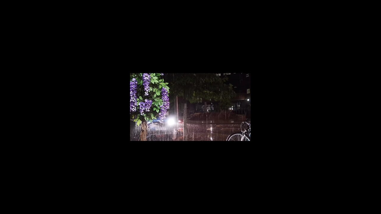 Soothing Rain Sounds | Relaxing Nature Ambience for Sleep, Study & Relaxation