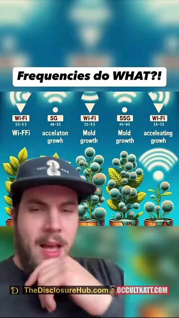 WiFi Enhances Mold Growth?