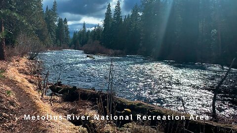 HIKING EXPLORING East Metolius River Trail to Start of Wizard Falls! | Deschutes NF | Central Oregon