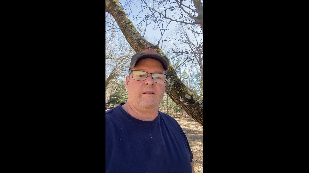 Please follow my channel!