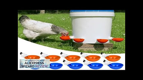 4PCS Poultry Kit Automatic Chicken Water Feeder Automatic Drinking Bowl Feeding Watering Review