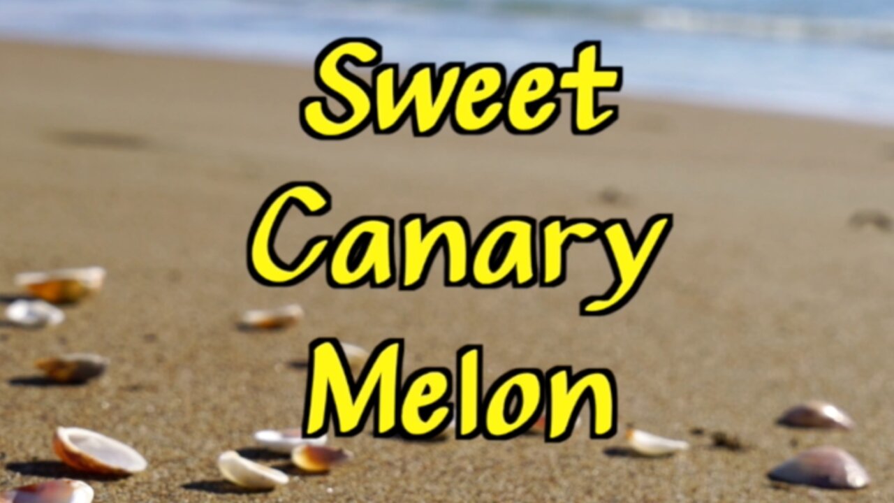 Sweet Canary Melon