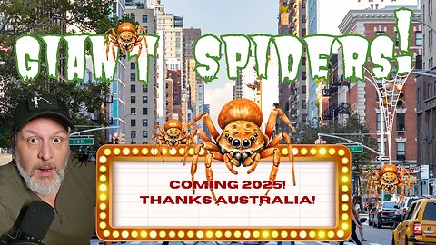 More 2025 Craziness! Giant Spider Species Found in Australia! *clickbait sort of*