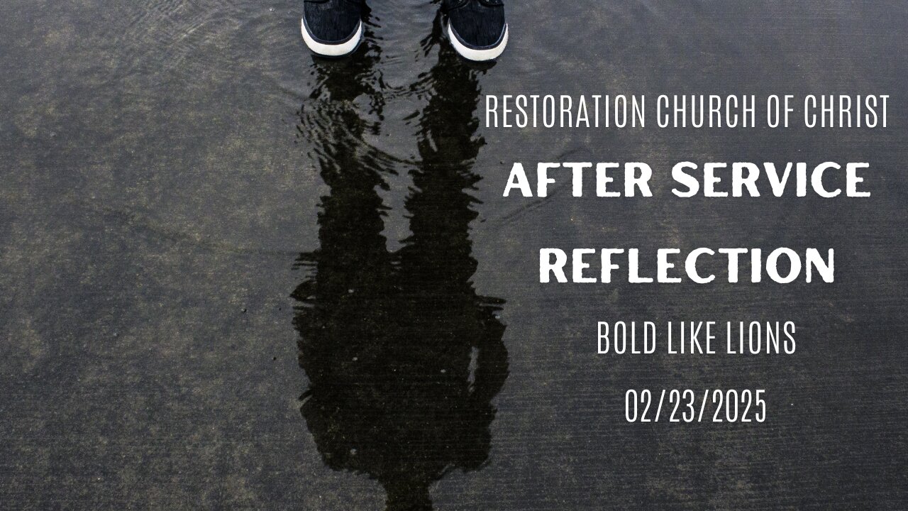 Reflection: Bold Like Lions - 2/16/25