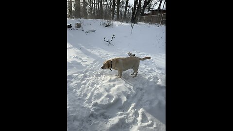 Snow angel