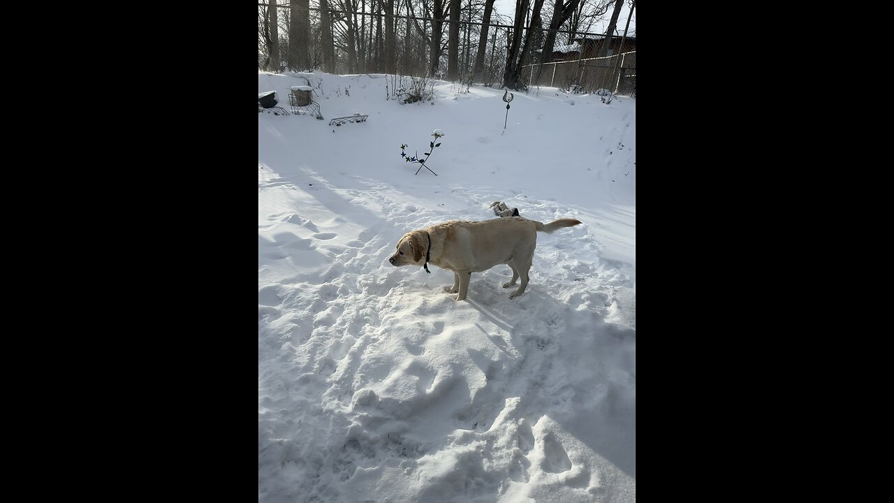 Snow angel