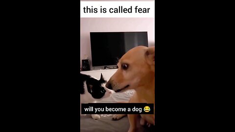 😂😂