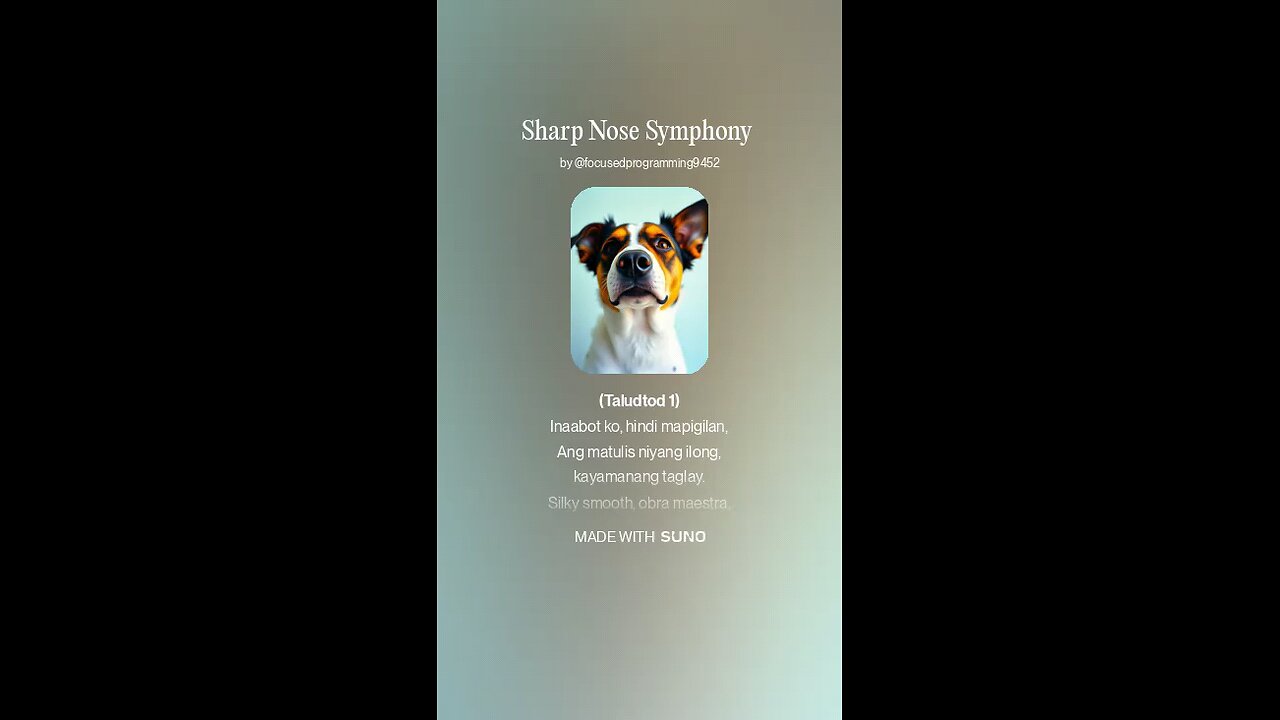 Sharp Nose Symphony