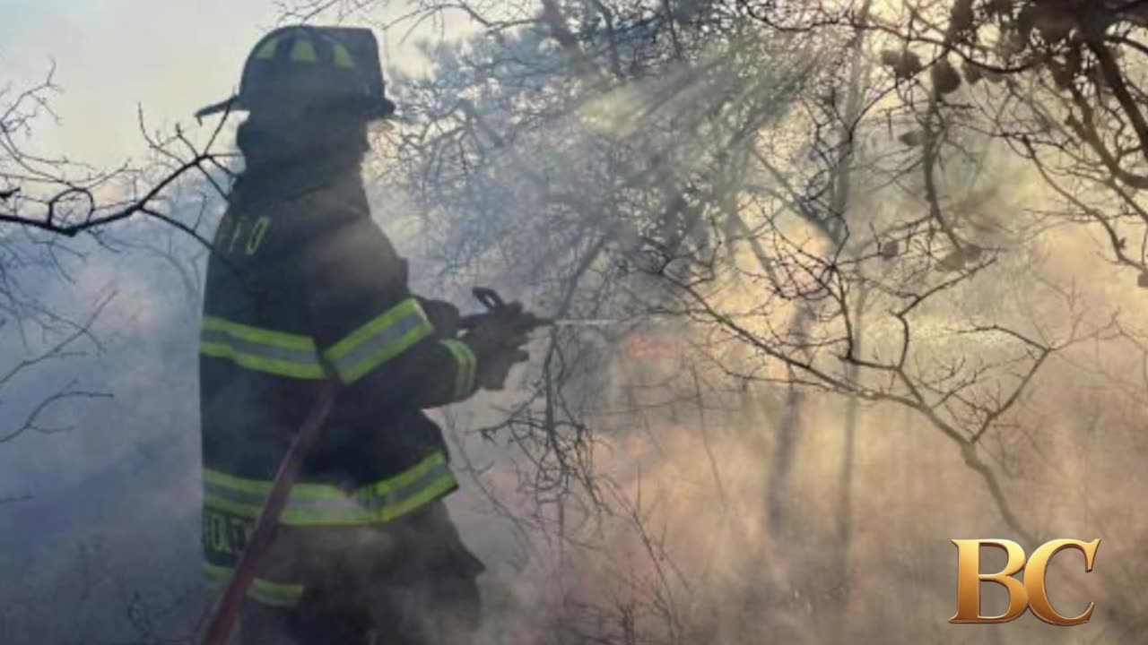 Suspected cause of Long Island wildfires was a resident making s’mores: Police