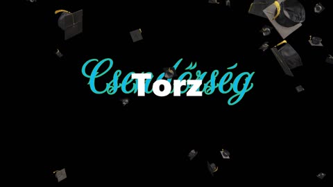 Csendőrség ¦ Torz (dalszöveges audió)