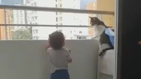 Cat protects child from 3rd story high Window