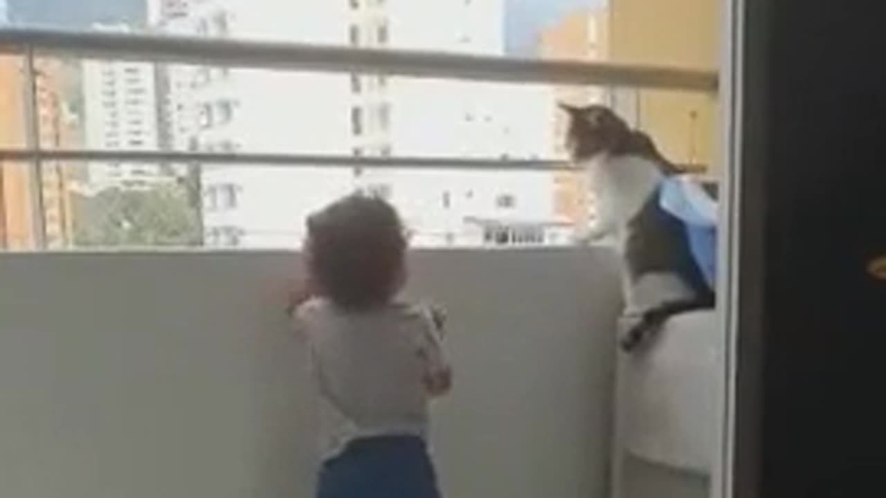 Cat protects child from 3rd story high Window