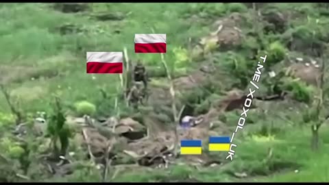 True allies