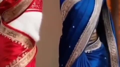 💃🐾 Desi Divas! Cat Duo Drops Hip-Hop in Stunning Indian Dresses!