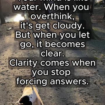 Clear Mind, Clear Life 💭✨