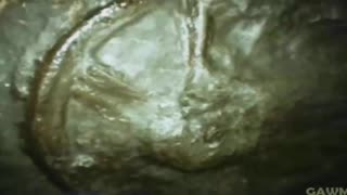 🏆 Compilation of 300+ Million Year Old Artifacts 🏆