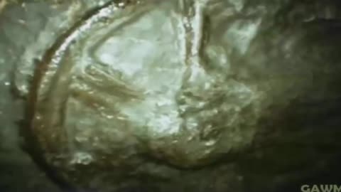 🏆 Compilation of 300+ Million Year Old Artifacts 🏆