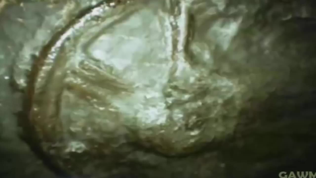 🏆 Compilation of 300+ Million Year Old Artifacts 🏆