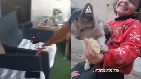 Do you see the difference?