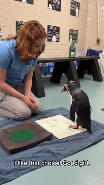 Penguin paints a picture and is extremely pleased with herself.