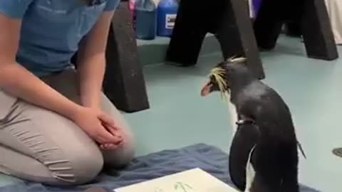 Penguin paints a picture and is extremely pleased with herself.