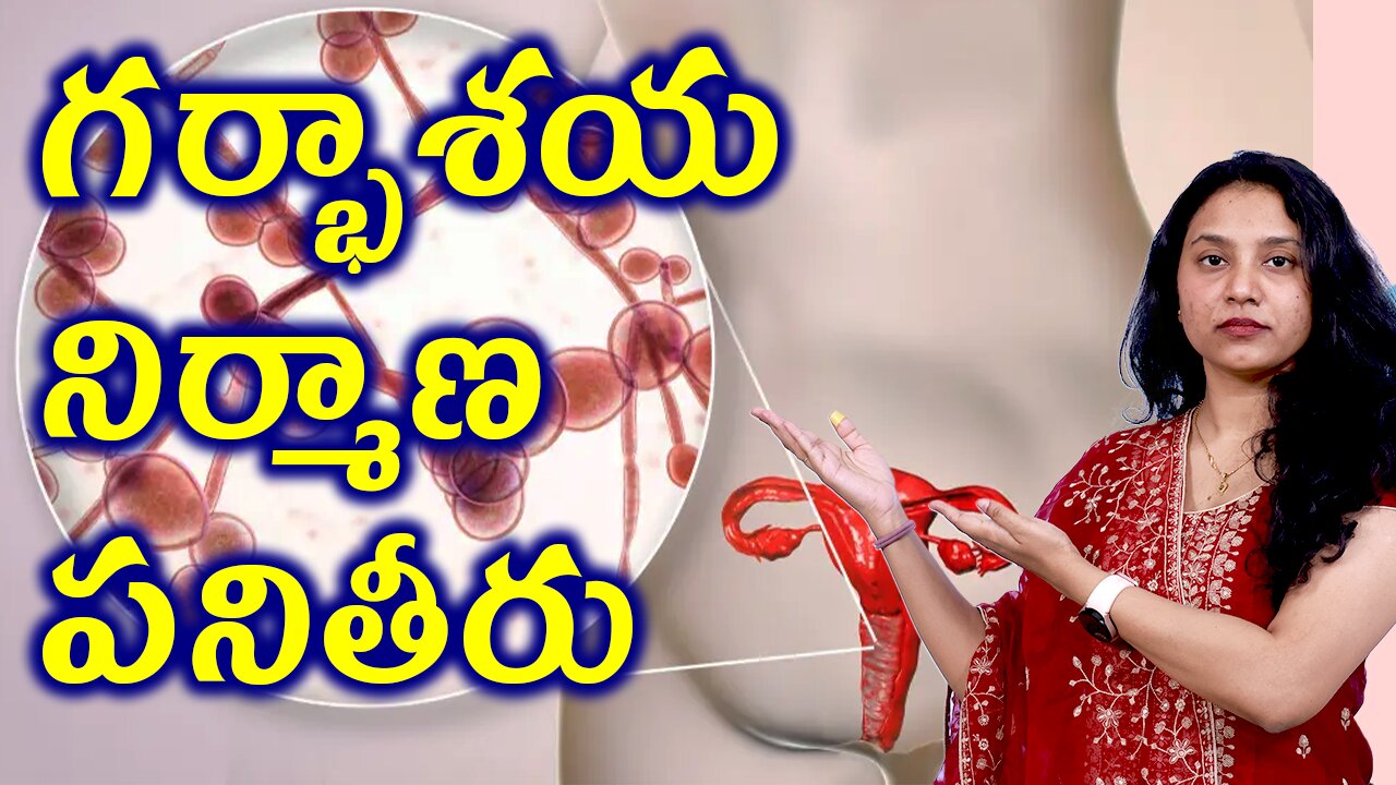 గర్భాశయం యొక్క నిర్మాణాత్మక పనితీరు Structural function of Vagina