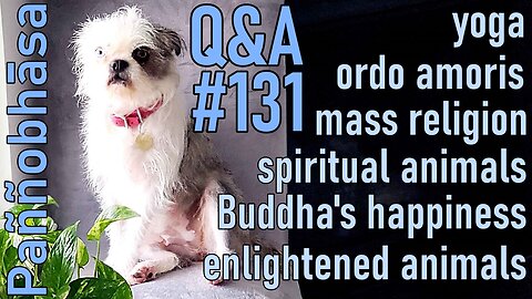 Question & Answer #131: from Volition in Buddhism to the Writings of Carl Jung