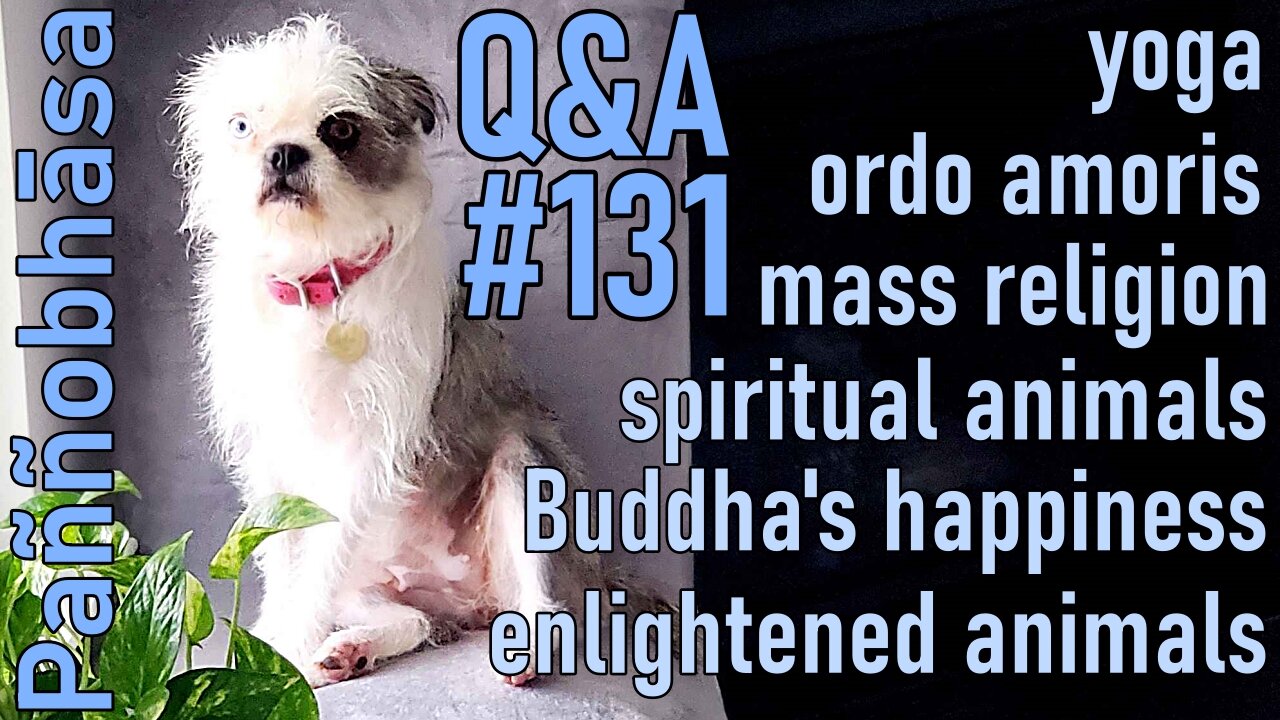 Question & Answer #131: from Volition in Buddhism to the Writings of Carl Jung