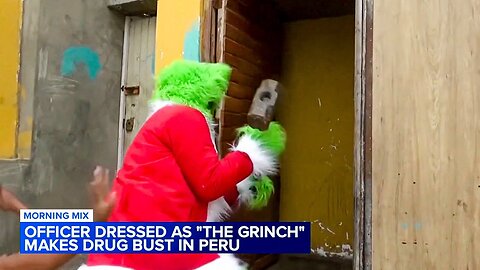 The Grinch Drug Bust