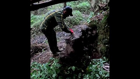 survival shelter and outdoor cooking in the forest with my dog